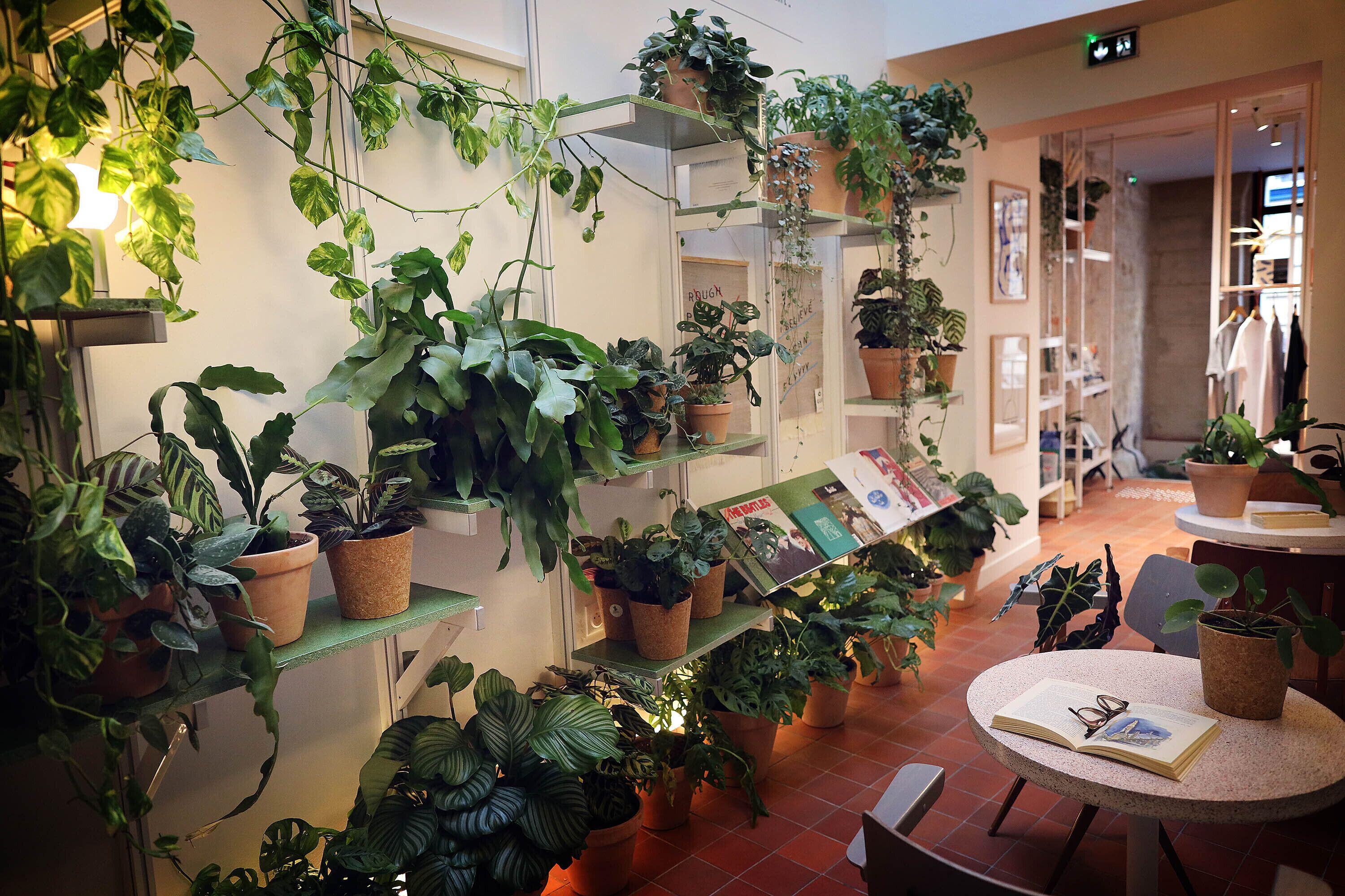 Hotel French Theory 3*